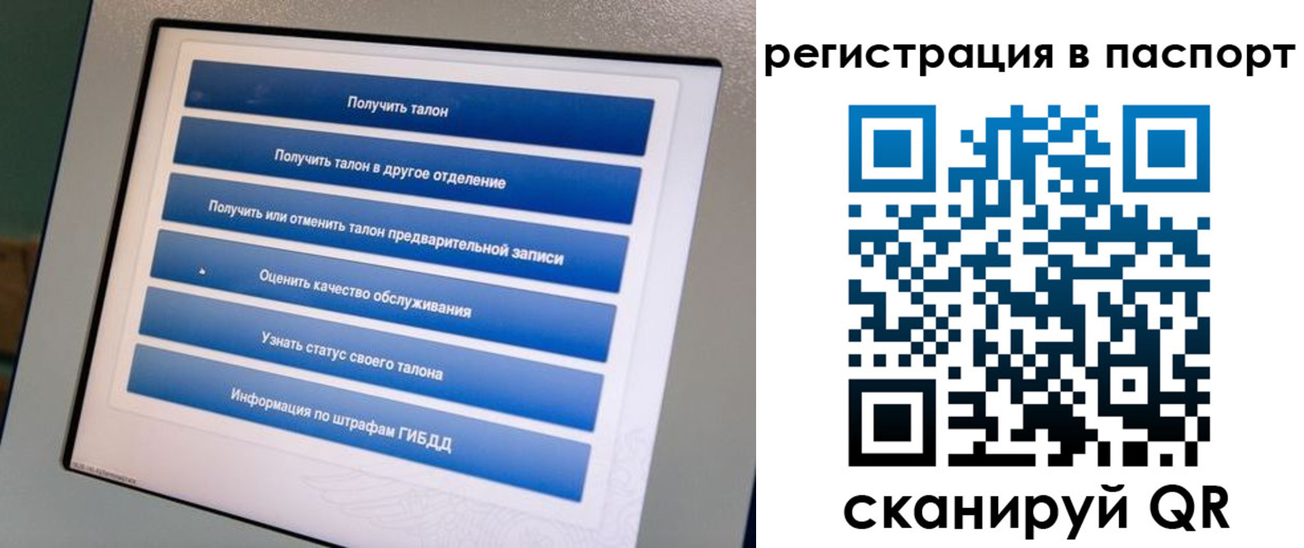 временная регистрация адрес в Александровске